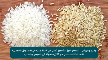 رفيع وعريض.. أسعار الأرز الشعير تصل إلى 2025 جنيه في الأسواق المصرية الأحد 31 أغسطس مع تغيّر ملحوظ في العرض والطلب